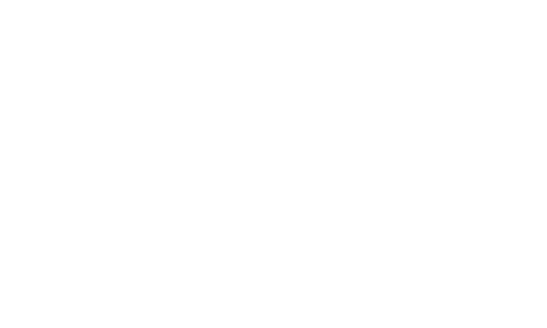 arden 11